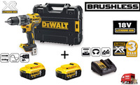    -  DeWalt DCD796NT + 2  5.0 Ah   