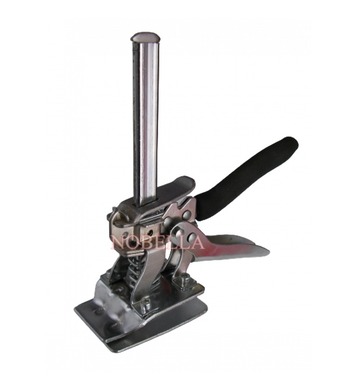 �������� - ����� �� ����������� � ���������� �� ������ �����