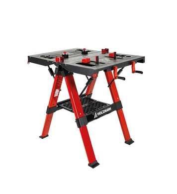 �������� ������� ���� HOLZMANN WST100SOLID - 820x630 ��, 200